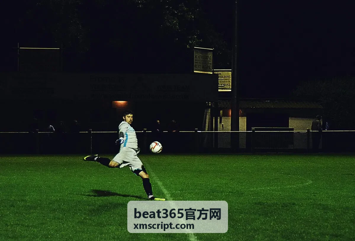 beat365官方网入口地址核对场景