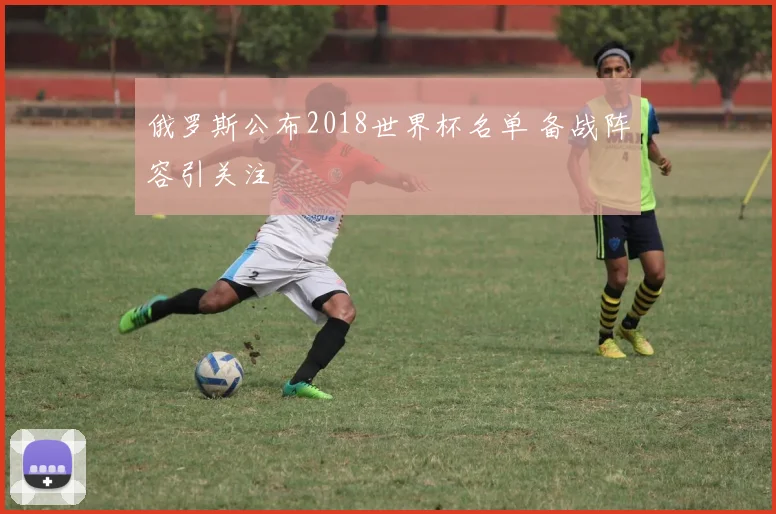 俄罗斯公布2018世界杯名单 备战阵容引关注