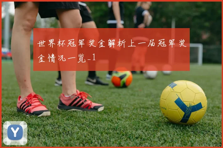 世界杯冠军奖金解析上一届冠军奖金情况一览_1