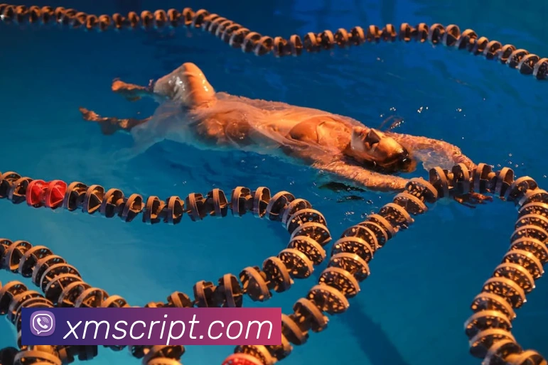 世界杯开户平台平台生态图